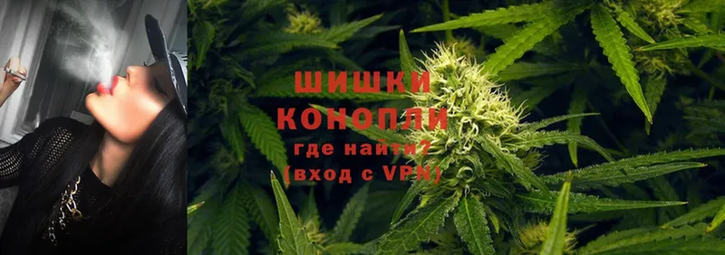 Бошки Шишки THC 21%  наркота  Звенигород 